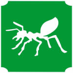  5x5 cm-es Csillámtetoválás sablon -Hangya 274