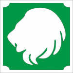  Csillámtetoválás sablon - Oroszlán 480