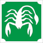  Csillámtetoválás sablon - Skorpió 483