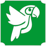  5x5 cm-es Csillám tetoválás sablon - papagáj 26