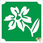  5x5 cm-es Csillám tetoválás sablon -Virág 3 - mkbazar