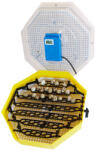 DEPOX Incubator electric pentru oua cu dispozitiv de intoarcere, termometru si termohigrometru, Cleo, model 5DTH (INCUBATOR-5DTH)
