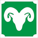  Csillámtetoválás sablon - Bak 476