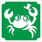  5x5 cm-es Csillámtetoválás sablon - Rák 342 - mkbazar