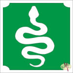  5x5 cm-es Csillámtetoválás sablon - Kígyó 372 - mkbazar