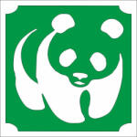  5x5 cm-es Csillámtetoválás sablon - Panda 450