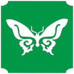  5x5 cm-es Csillám tetoválás sablon - Lepke 379