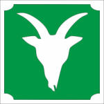  Csillámtetoválás sablon - Bak 485