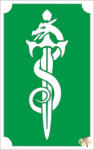  8x5 cm-es Csillámtetoválás sablon - Kard Sárkánnyal 106 - mkbazar