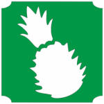  5x5 cm-es Csillámtetoválás sablon - ananász 418