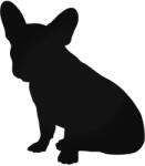  Francia bulldog "2" matrica