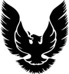  Főnix Pontiac FireBird matrica