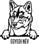  Akita matrica egyedi névvel