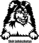  Skót juhászkutya matrica 2