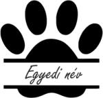  Egyedi neves tappancs matrica