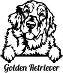  Golden retriever matrica 13