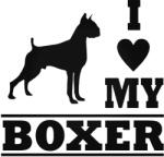  Boxer matrica 17