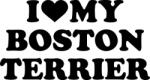  Boston terrier matrica 15