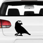  Egzotikus Papagáj matrica