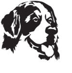  Berni pásztor matrica 1