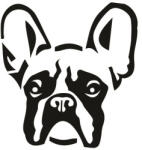  Francia bulldog matrica 15