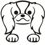  Japán csin matrica 2