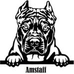  Díszes Amstaff matrica