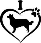  Border collie matrica 7