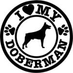  Dobermann matrica 18