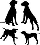  Vizsla matrica szett