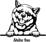  Shiba inu matrica 2