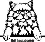  Brit hosszúszőrű macska matrica