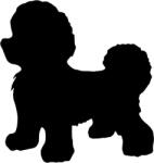  Bichon Frise matrica 3