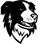  Border collie matrica 12