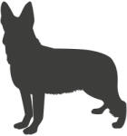  Németjuhász matrica 26