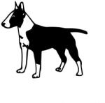  Bullterrier matrica 9