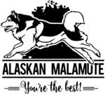  Alaszkai malamut matrica 30 cm