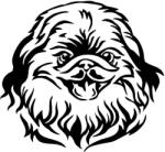  Pekingi palotapincsi matrica