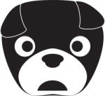  Boston terrier matrica 14