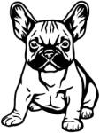  Francia bulldog matrica 23