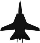  F-14 Tomcat Autómatrica