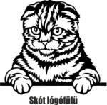  Skót lógófülü macska matrica