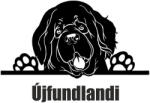  Újfundlandi matrica 3
