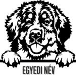  Egyedi neves Berni pásztor matrica