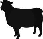  Bárányka "1" matrica