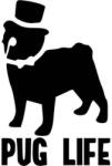  Pug Life matrica