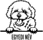  Egyedi neves Bichon Frise matrica