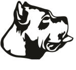  Cane corso matrica 2