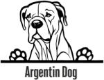  Argentin dog matrica 30 cm