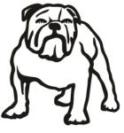  Angol bulldog matrica 13